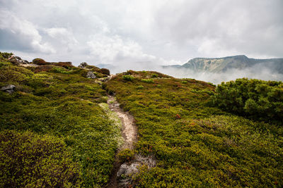 Scenic view of landscape against sky