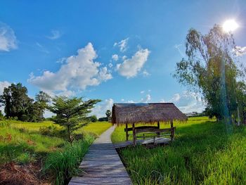 Dirt road amidst plants and buildings against sky