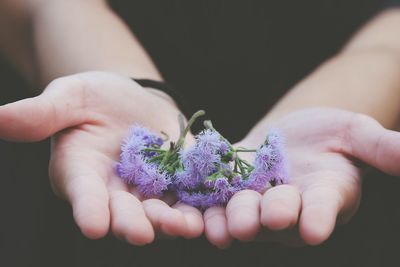 Midsection of man holding flowers