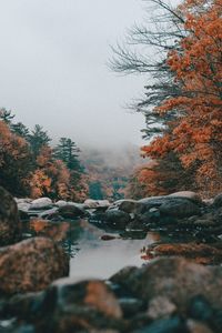 Reflection of trees in lake against sky during autumn