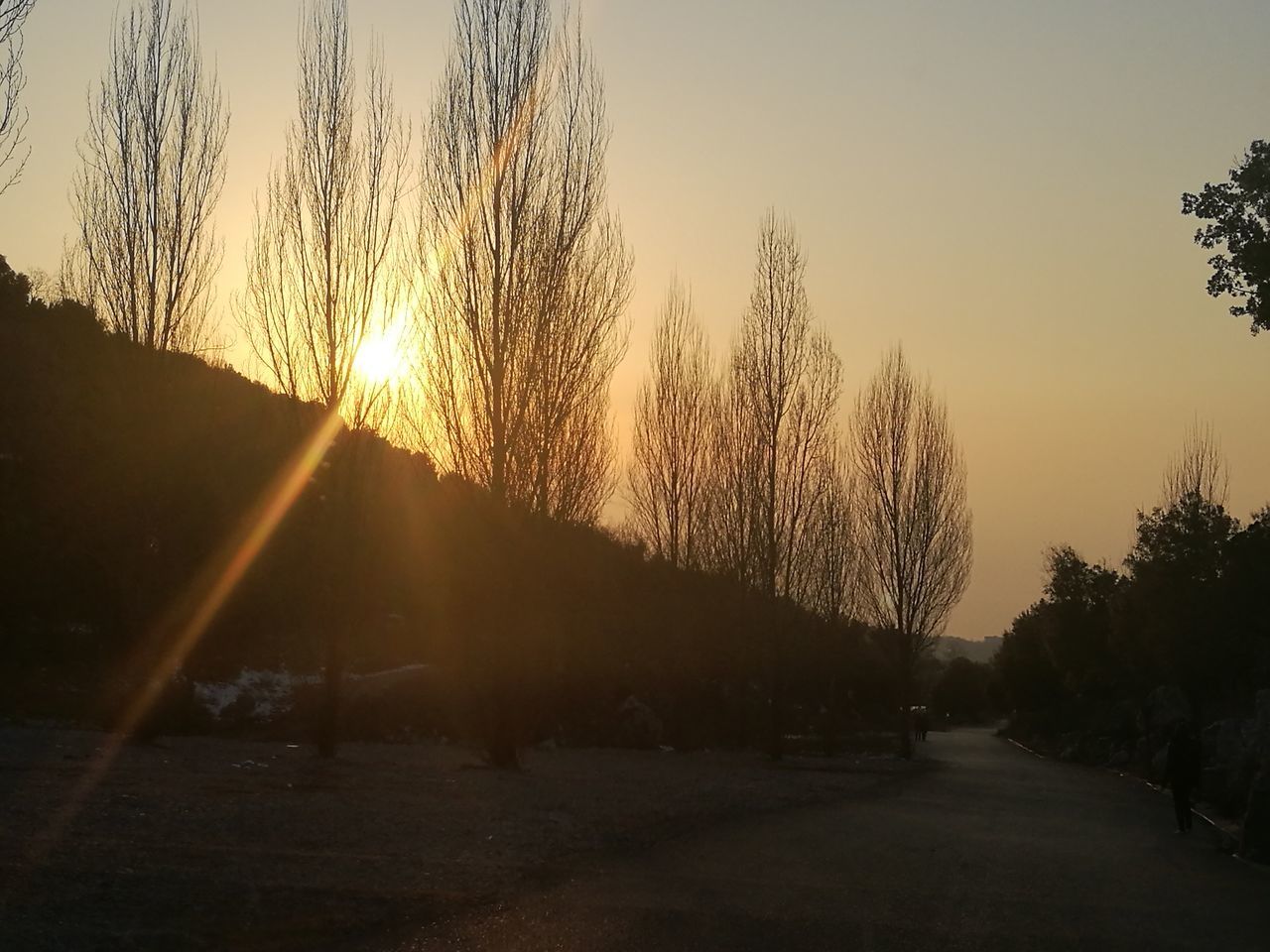 sunset, sky, tree, nature, no people, sun, scenics, outdoors, road, beauty in nature, close-up, day