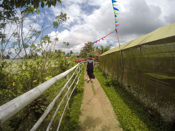 Rear view of man walking on road amidst plants against sky