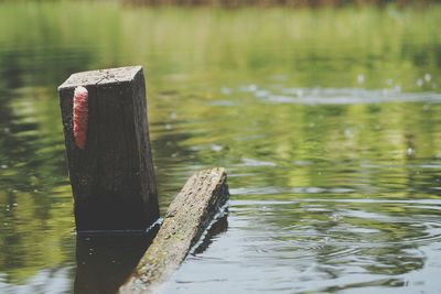 Close-up of wooden post in lake