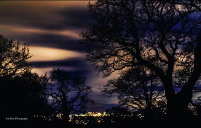 Silhouette trees against dramatic sky at sunset