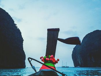 Close-up of red berries on rock by sea against sky