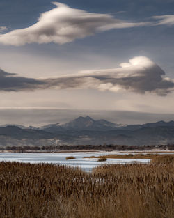 Scenic view of a frozen lake lake with reeds against sky and mountain