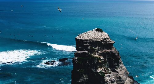 High angle view of rocks in sea