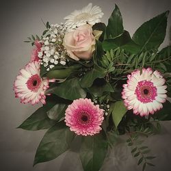 Close-up of pink roses