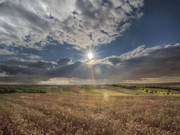 Scenic view of field against sky