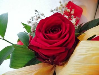 Close-up of rose bouquet