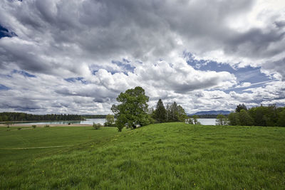 Scenic view of field against sky