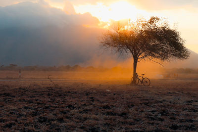 Bicycle by tree on field against sky during sunset