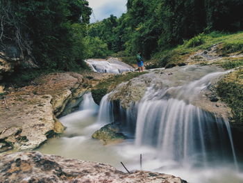 Scenic view of waterfall in forest