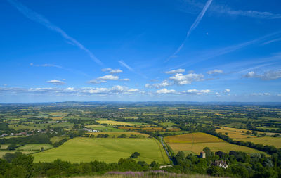 Scenic view of agricultural field against blue sky