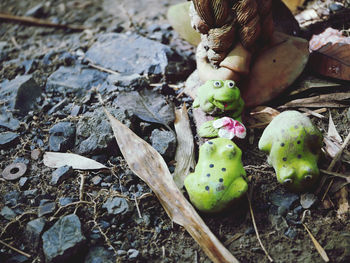 Close-up of stuffed toy on field