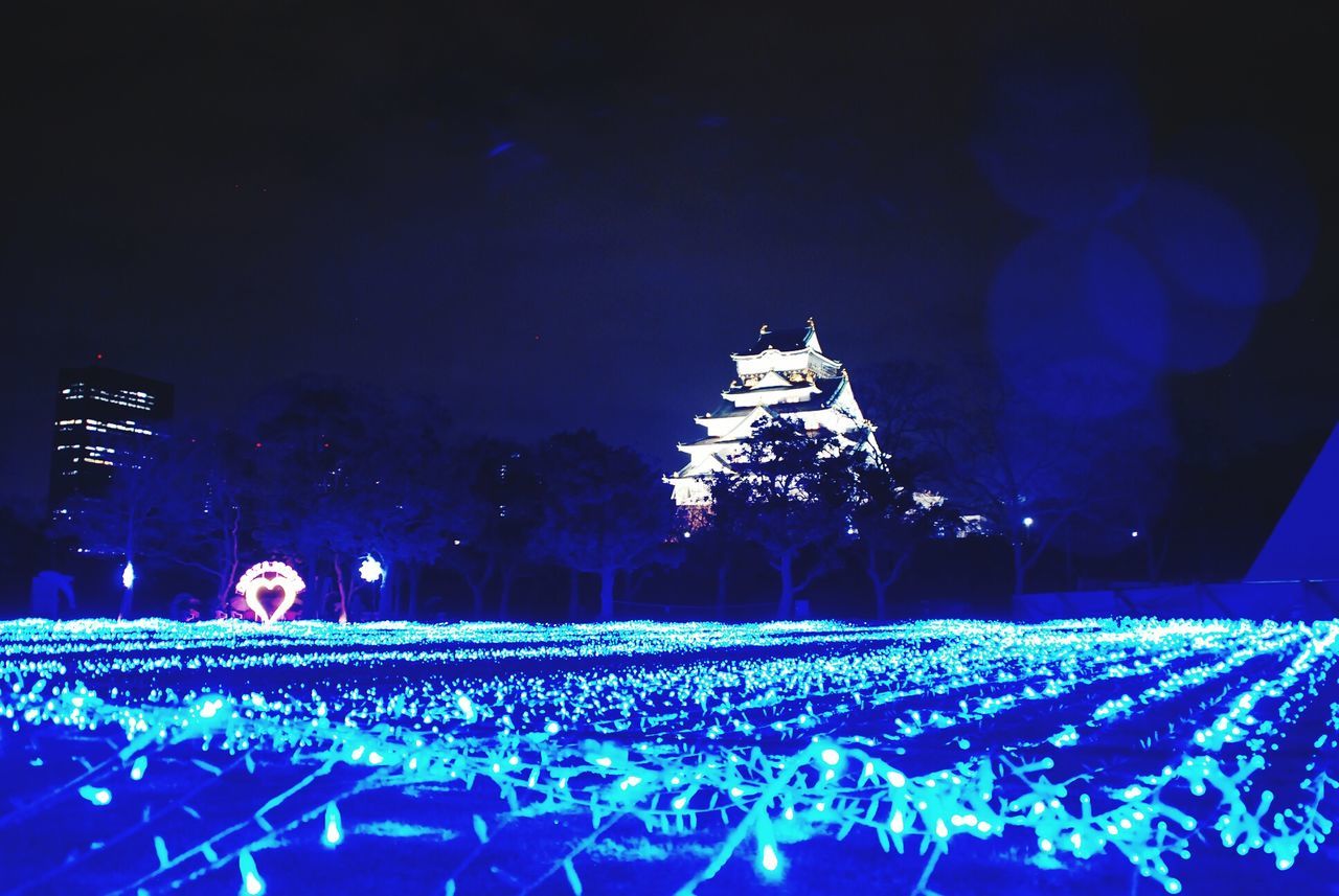 illuminated, night, celebration, arts culture and entertainment, event, sky, large group of people, crowd, clear sky, lighting equipment, blue, outdoors, motion, long exposure, light - natural phenomenon, copy space, glowing, light, decoration, tree