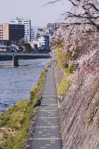 Footpath by river in city against sky