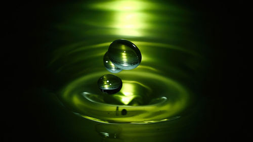 Close-up of water drop on black background