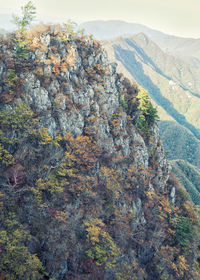 Scenic view of mountains