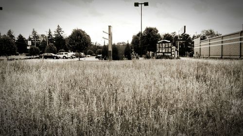 View of rural landscape