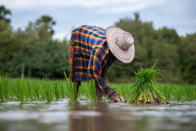 Man working in farm