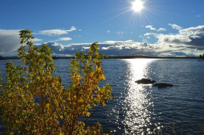 Scenic view of calm sea against sky on sunny day