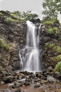 Scenic view of waterfall in forest