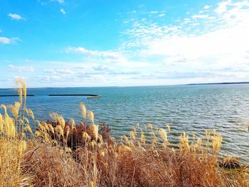 Scenic view of sea against sky