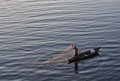 Swan swimming on lake