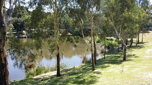 Reflection of trees in lake