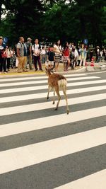 Group of people walking on road