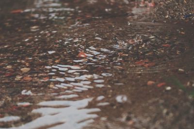 High angle view of puddle on wet street