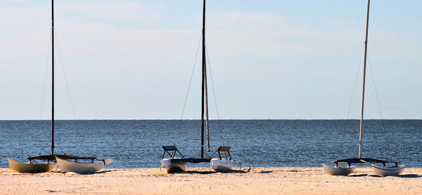 Parasols hanging by sea against sky