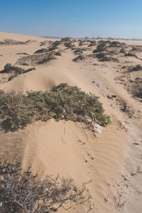 Scenic view of desert against clear sky