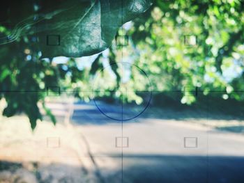 Close-up of plants against blurred background