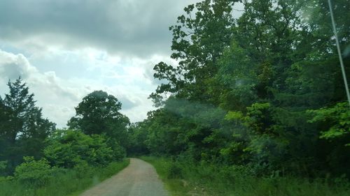 Road amidst trees against sky