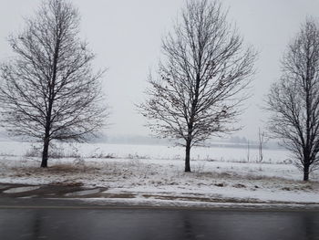 Bare trees on snow covered land against sky