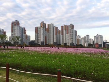 Modern cityscape against sky