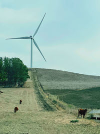 Windmills on field against sky