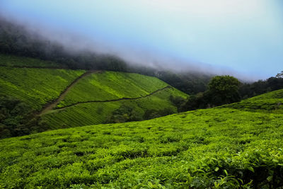 Scenic view of landscape against sky