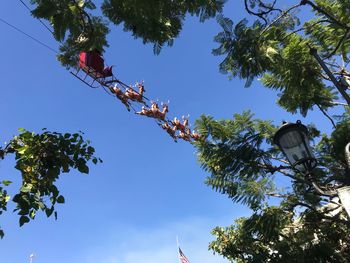 Low angle view of tree against blue sky