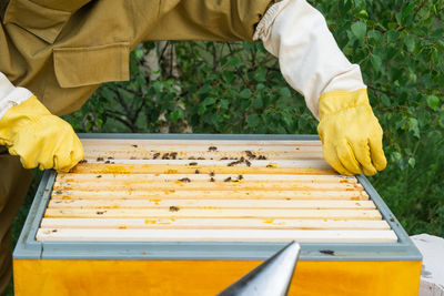 Cropped hands of man working at farm