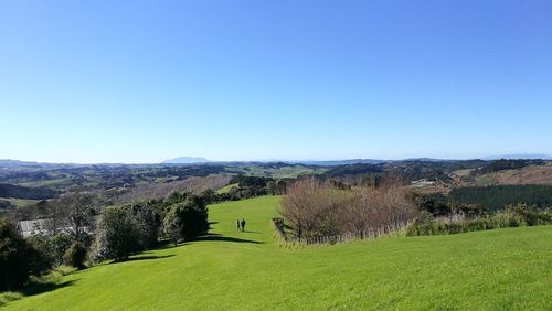 Scenic view of landscape against clear blue sky