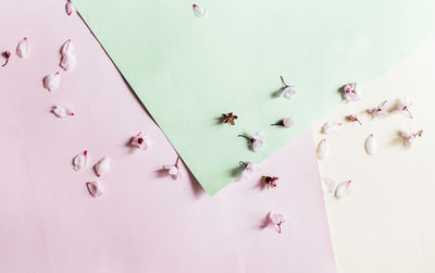 High angle view of people on white background