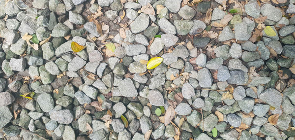 High angle view of stones