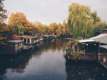 Reflection of trees in water