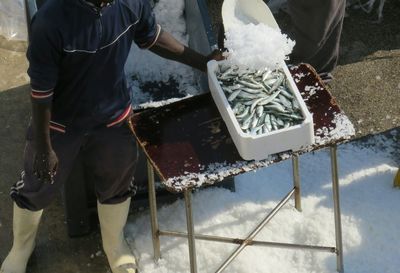 High angle view of fishermen covering fish with ice by machine at harbor