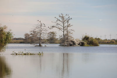 Scenic view of lake against sky