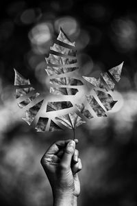 Close-up of person holding leaf