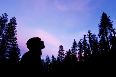 Low angle view of silhouette trees against sky at dusk